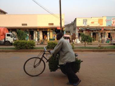 Collective Investing: A Discussion En Route to Gulu